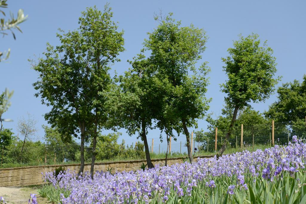 Agriturismo Villa Iris Castelfranco di Sopra Luaran gambar
